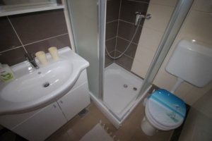 IMG-dcf8f61b26ca83e89121411dd1162fb7-V